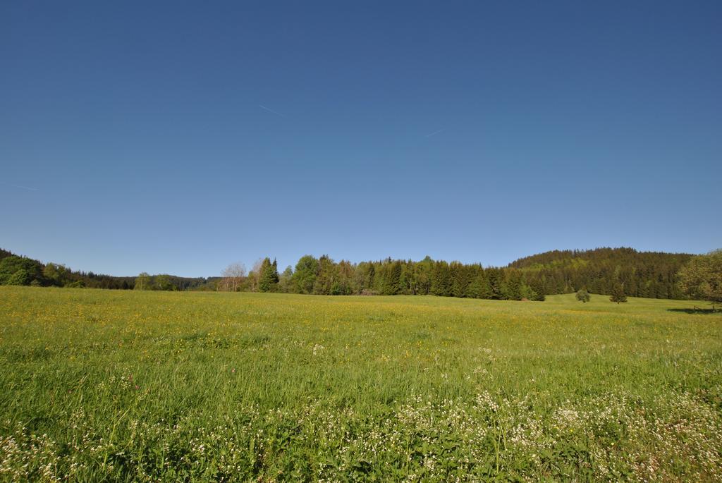 Apartmany U Dvou Soviczech Borová Lada Exteriér fotografie